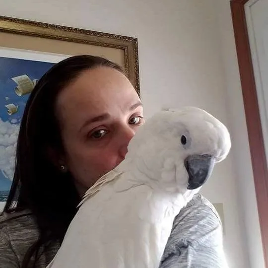 Reputable Parrot Breeders in Nevada