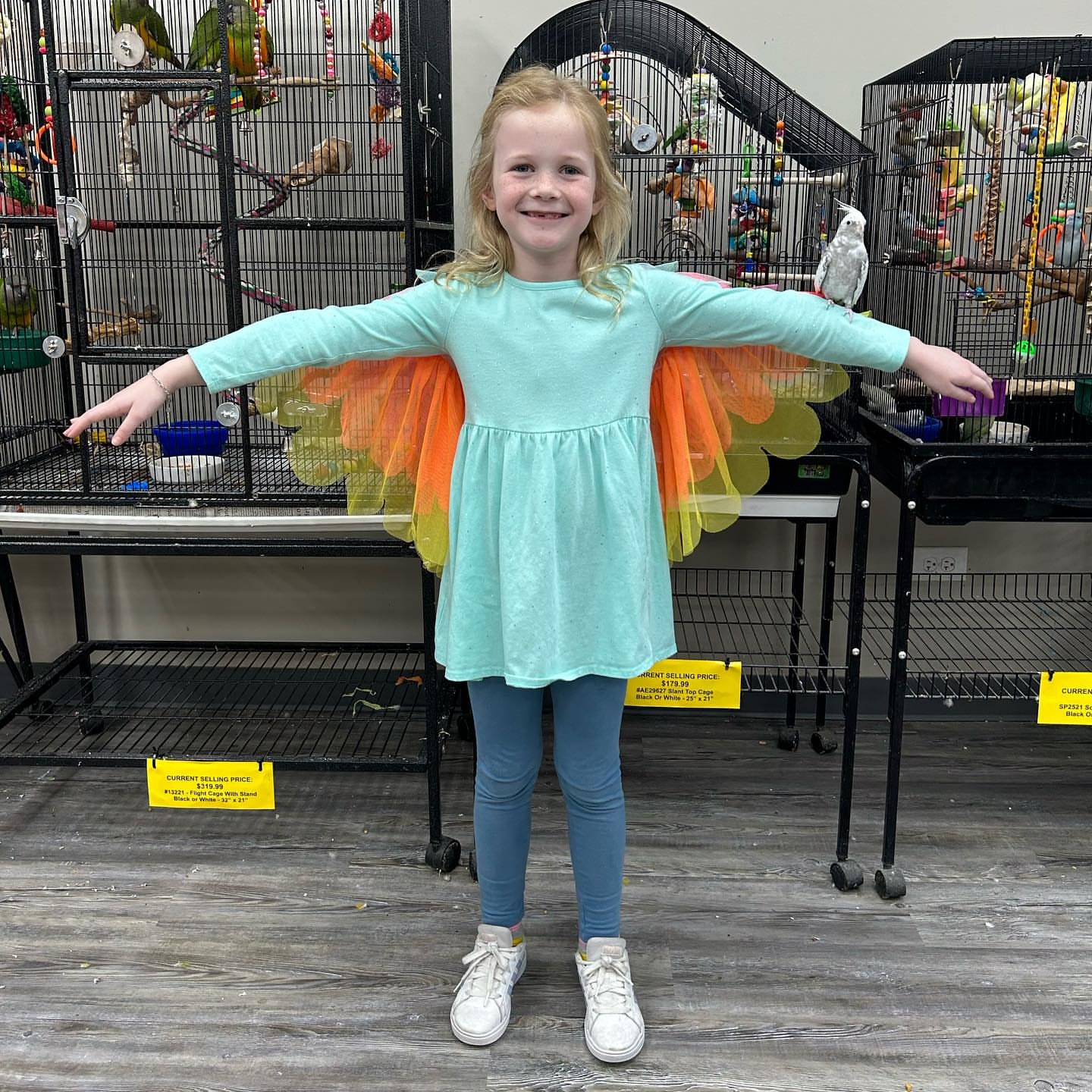 Reputable Parrot Breeders in Edmonton