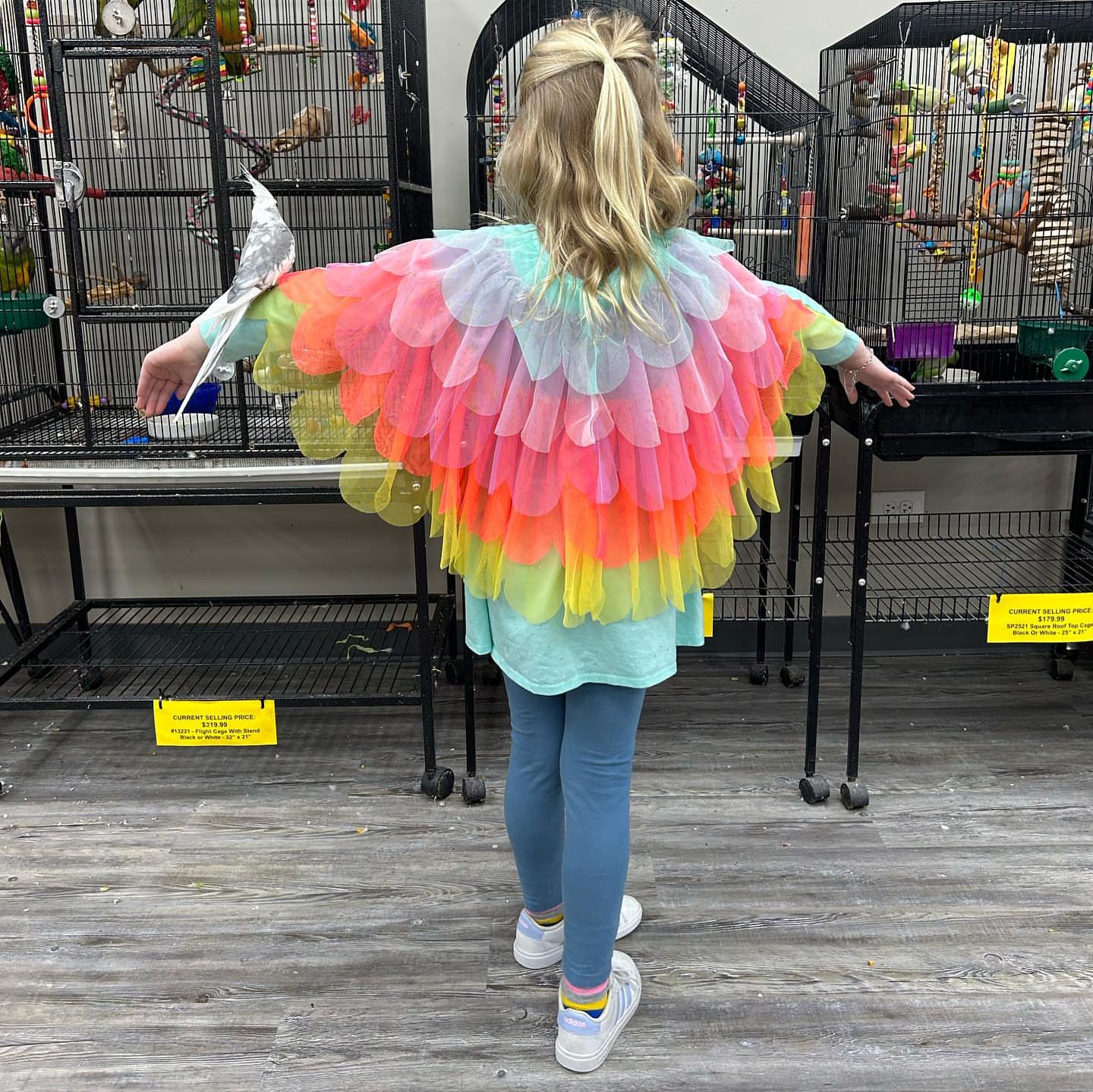 Best Parrot Breeders in Kentucky