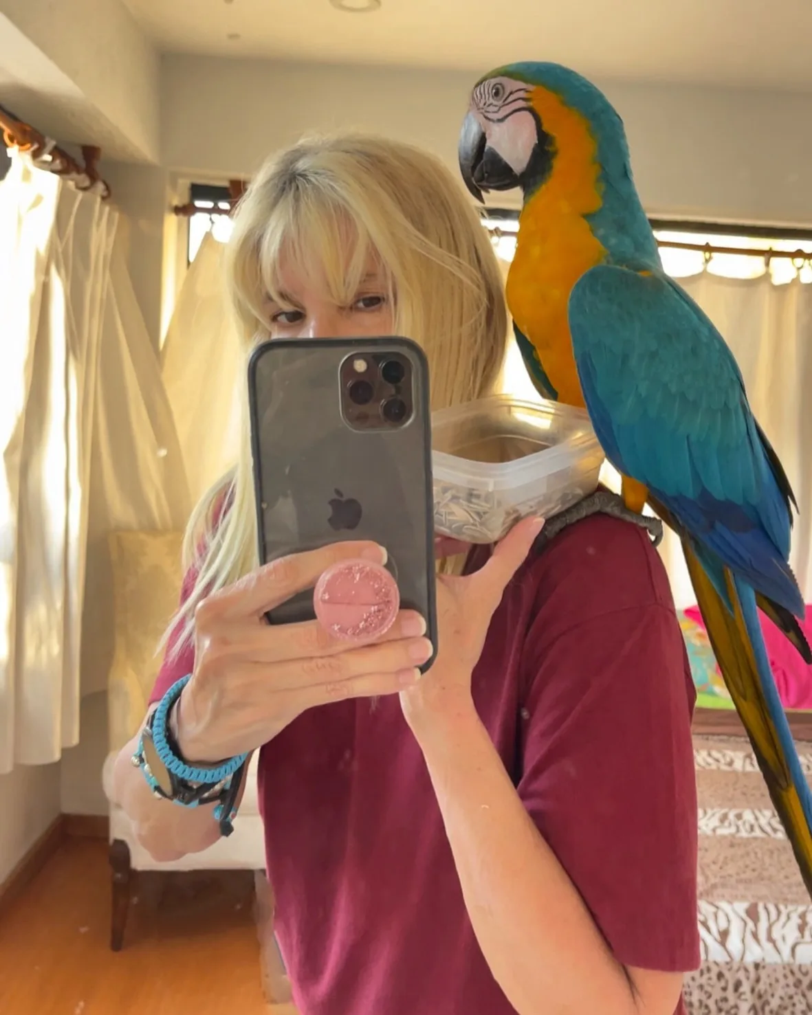 Reputable Macaw Parrot Breeders