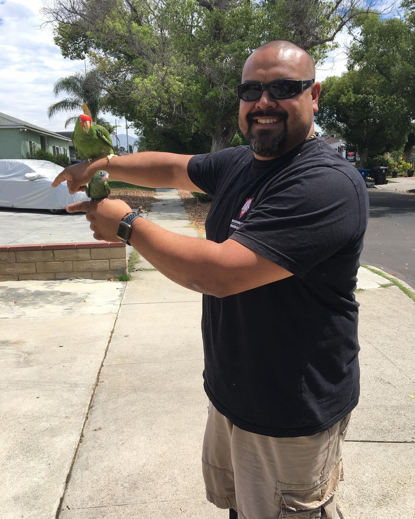 Parrots for Sale in Colorado