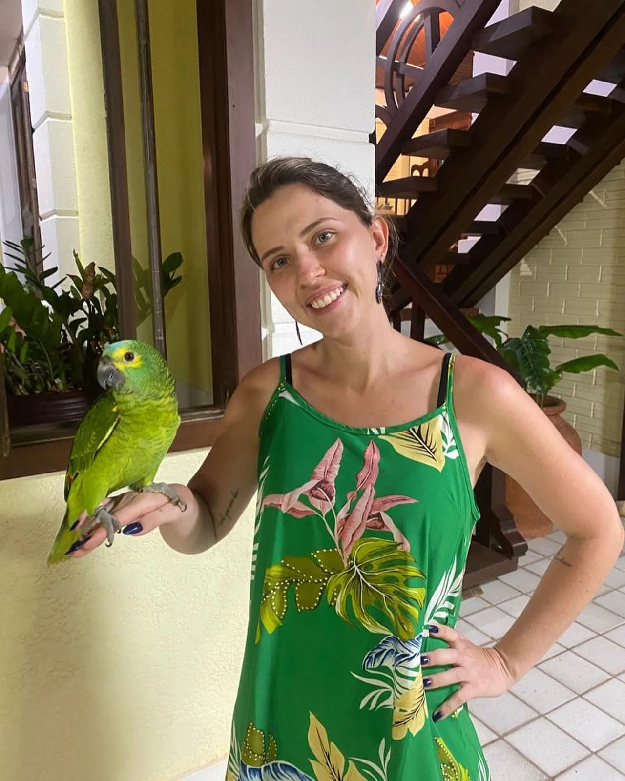 Parrots for Sale in Maine