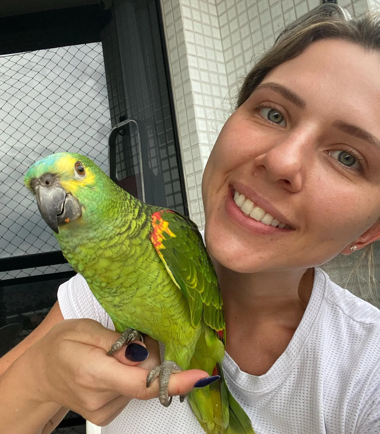 Parrots for Sale in Louisiana