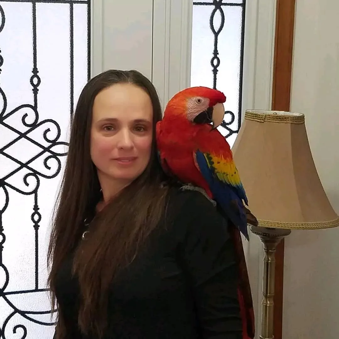 Training Parrots to Do Tricks