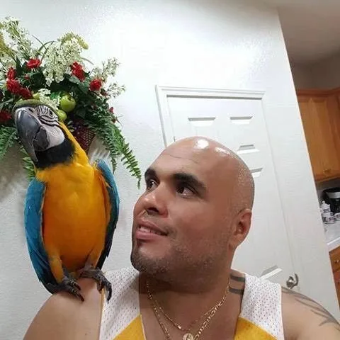 Train Your Parrot Not to Fly Away