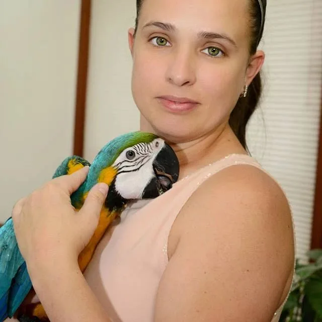 Parrots for Sale in West Virginia: Top 15 Vibrant Locations