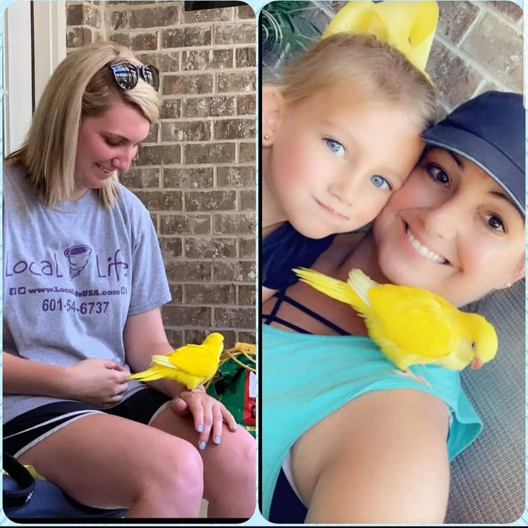 Reputable Canary Bird Breeders