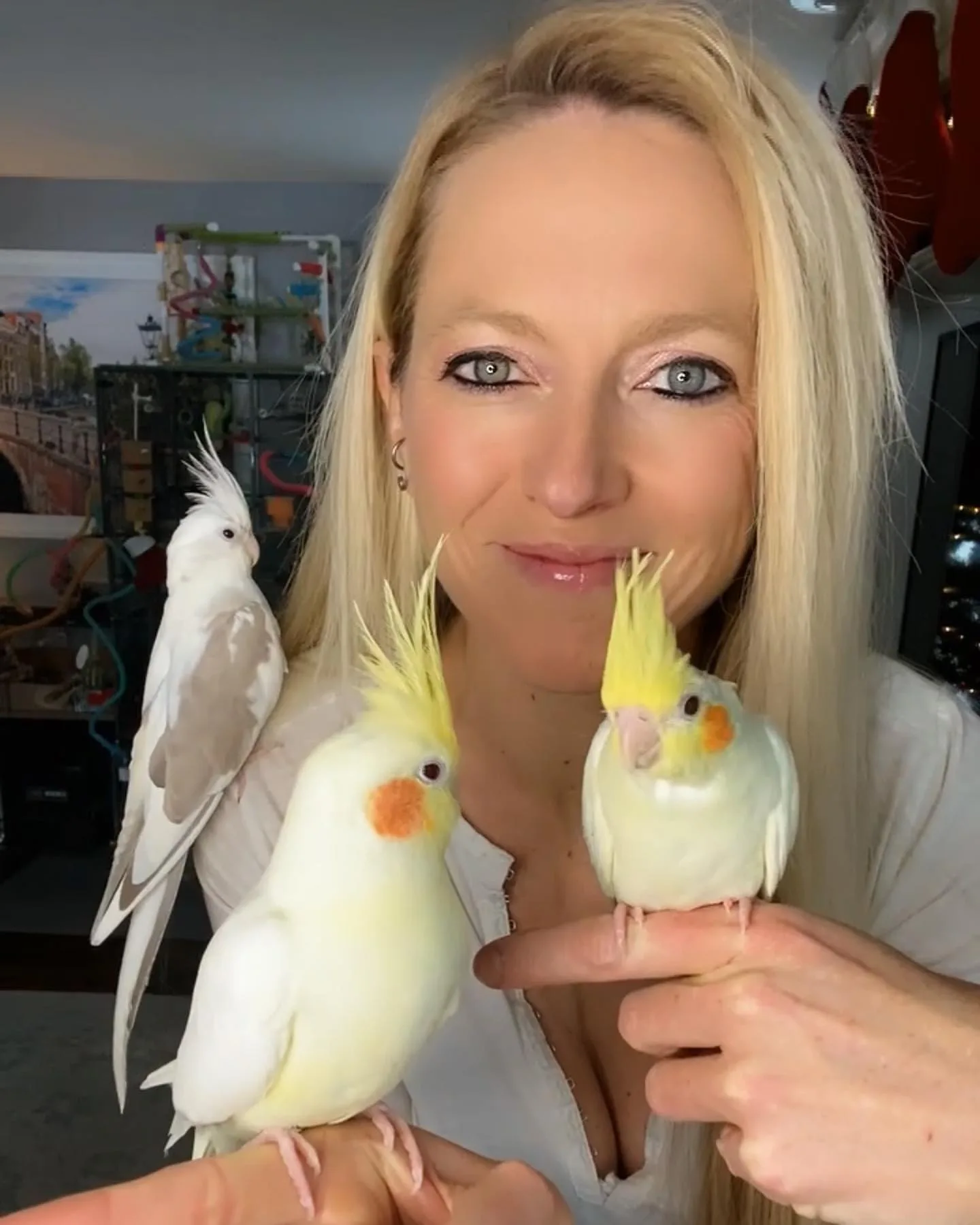 White Cockatoo Bird