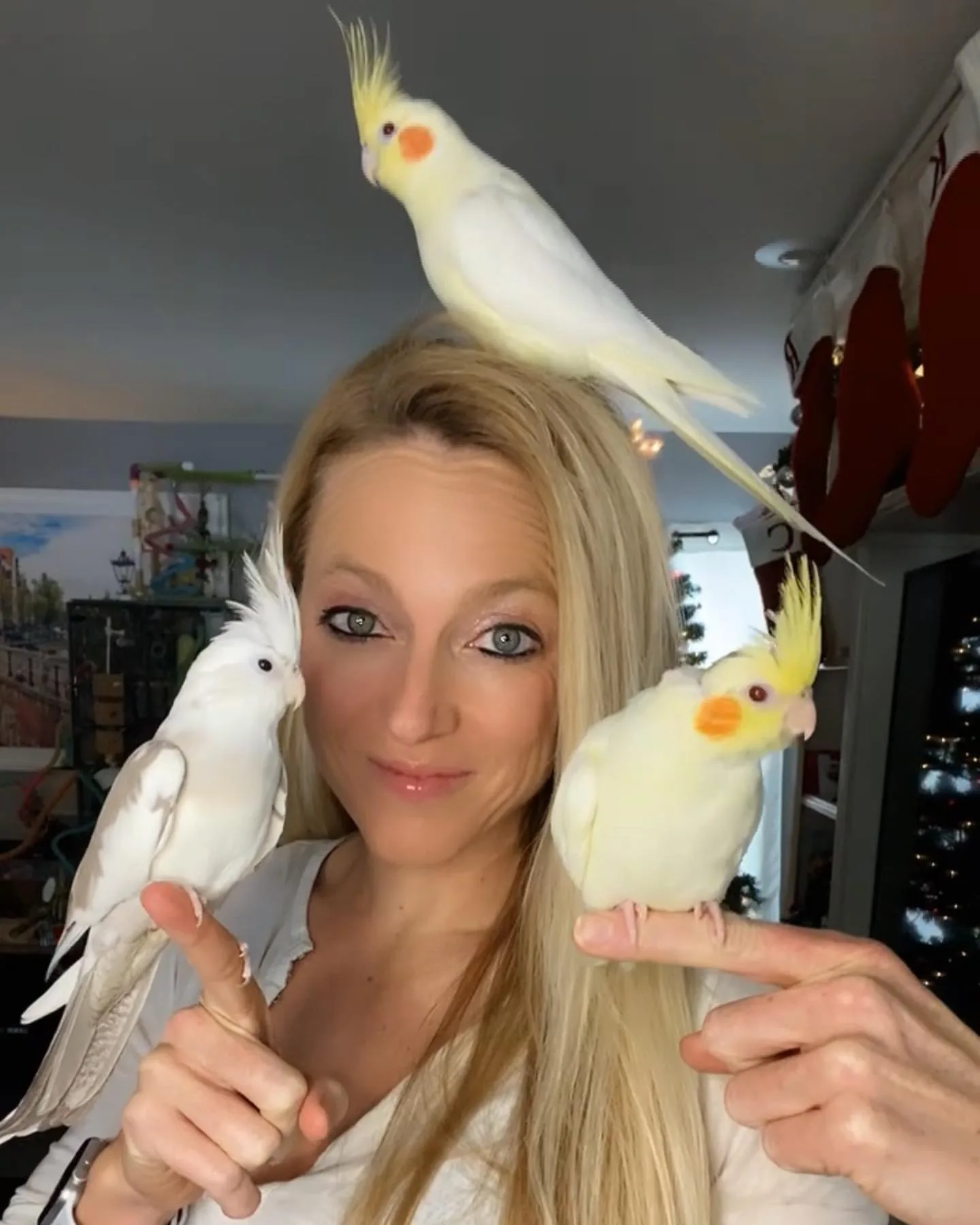 Lutino Quaker Parrot for Sale