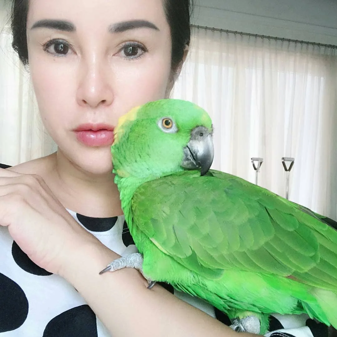 What Not to Feed Parrots