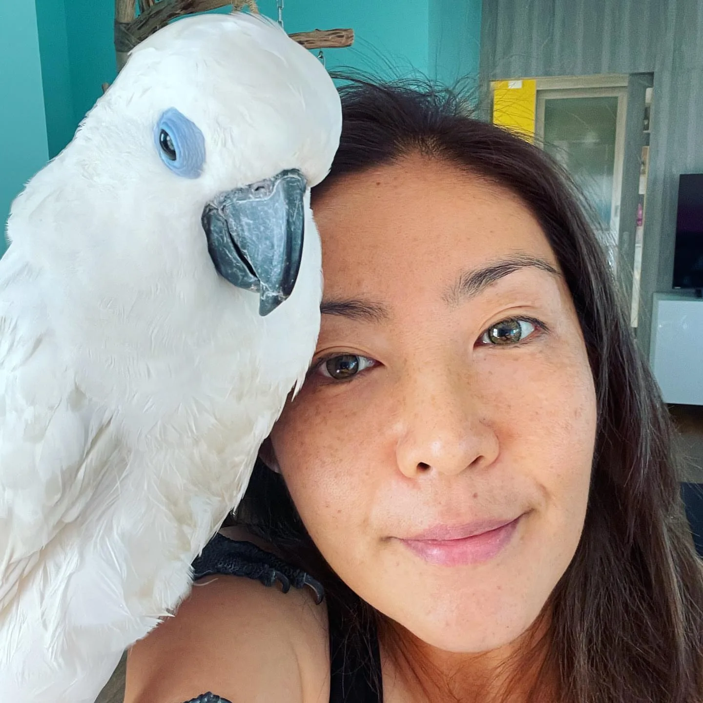 Best Parrot Breeders in Alaska