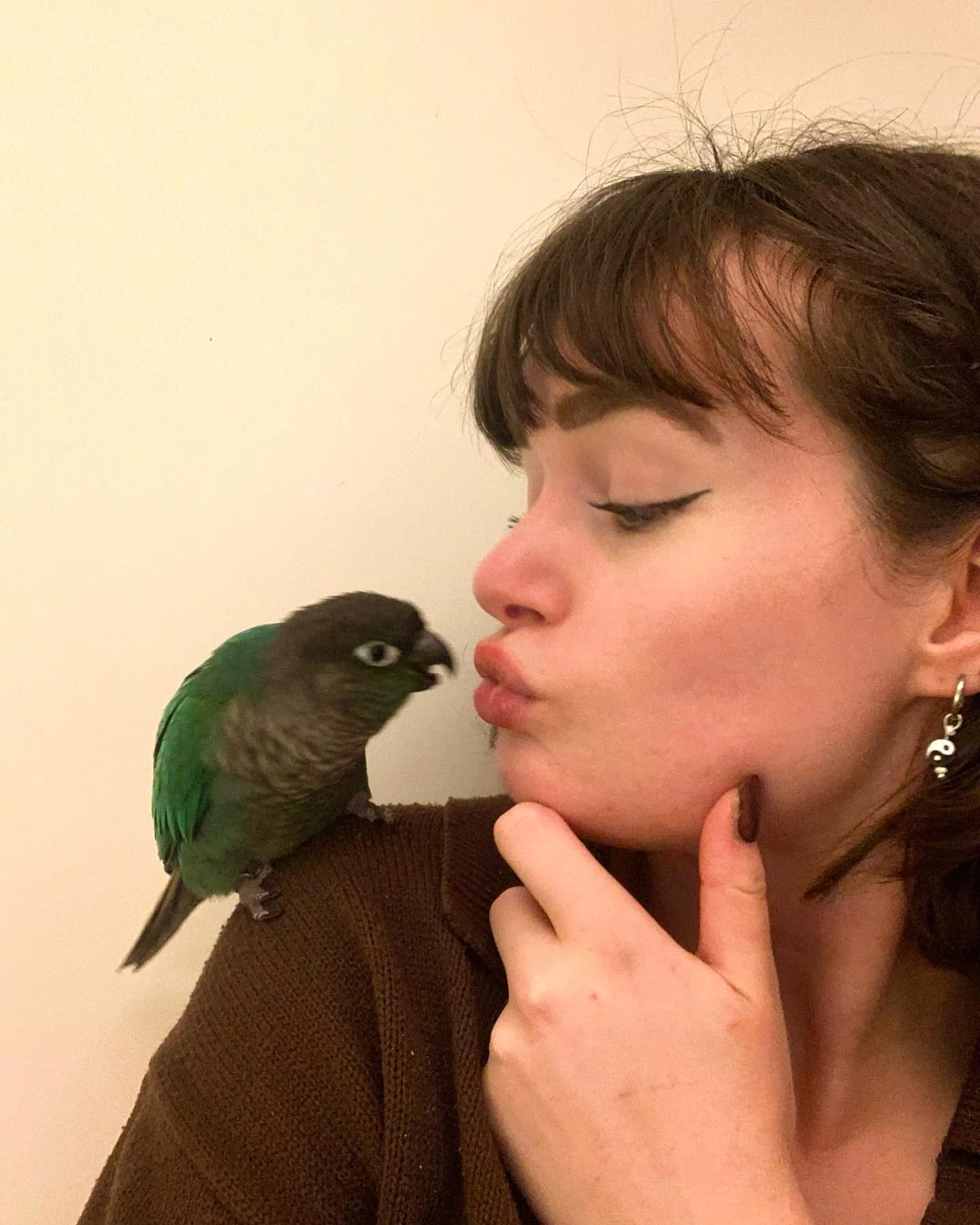 Exotic Parrot Breeds