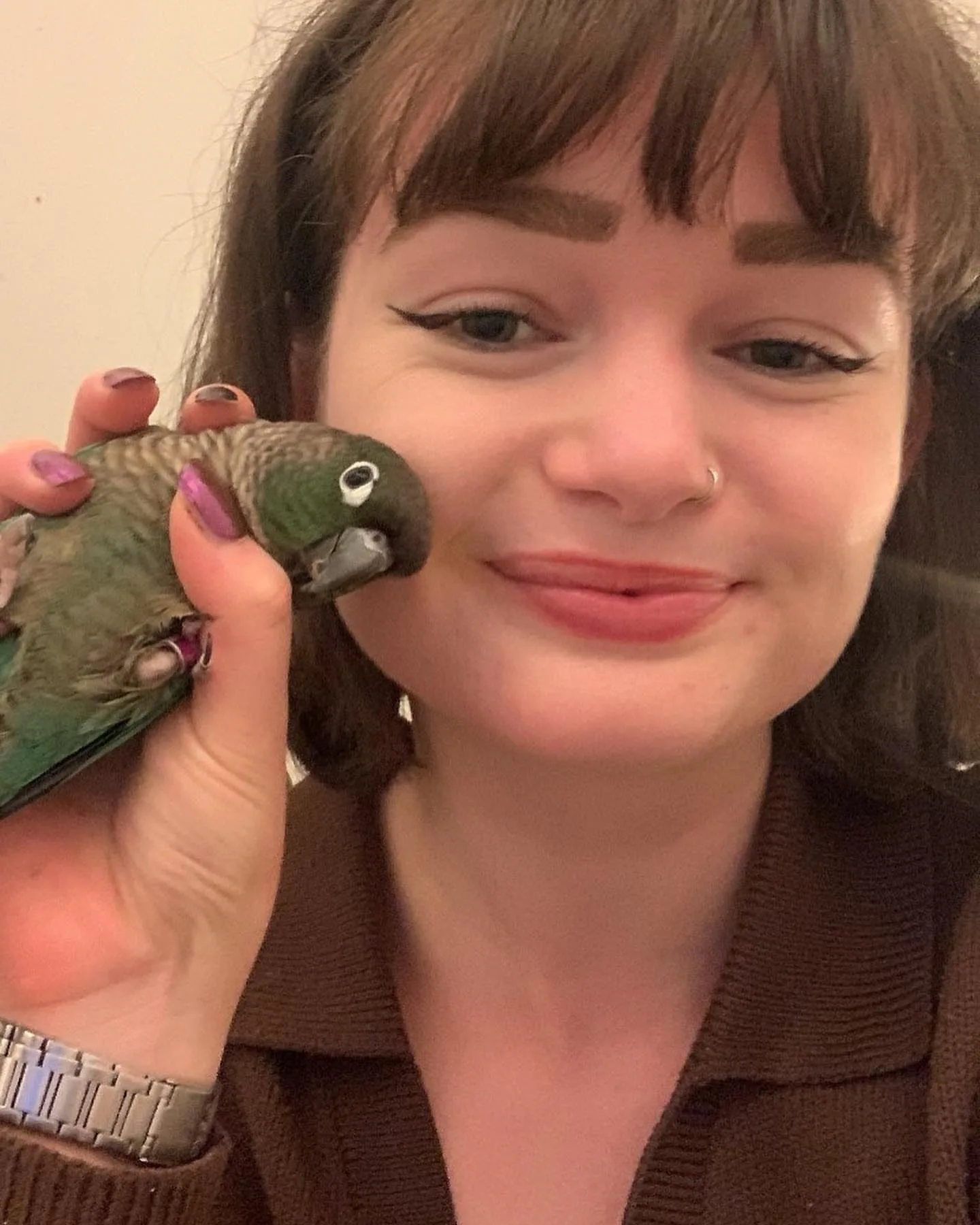 Blue Headed Pionus Parrot for Sale
