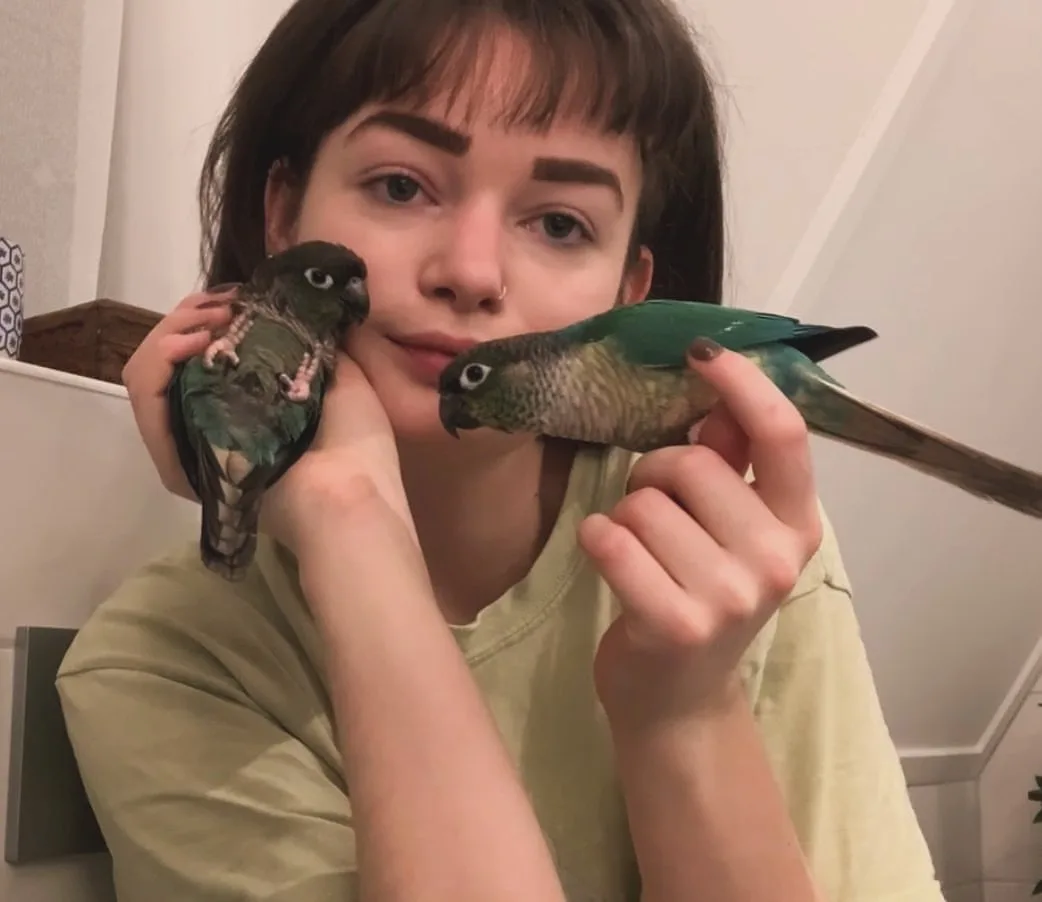 Green Amazon Parrot