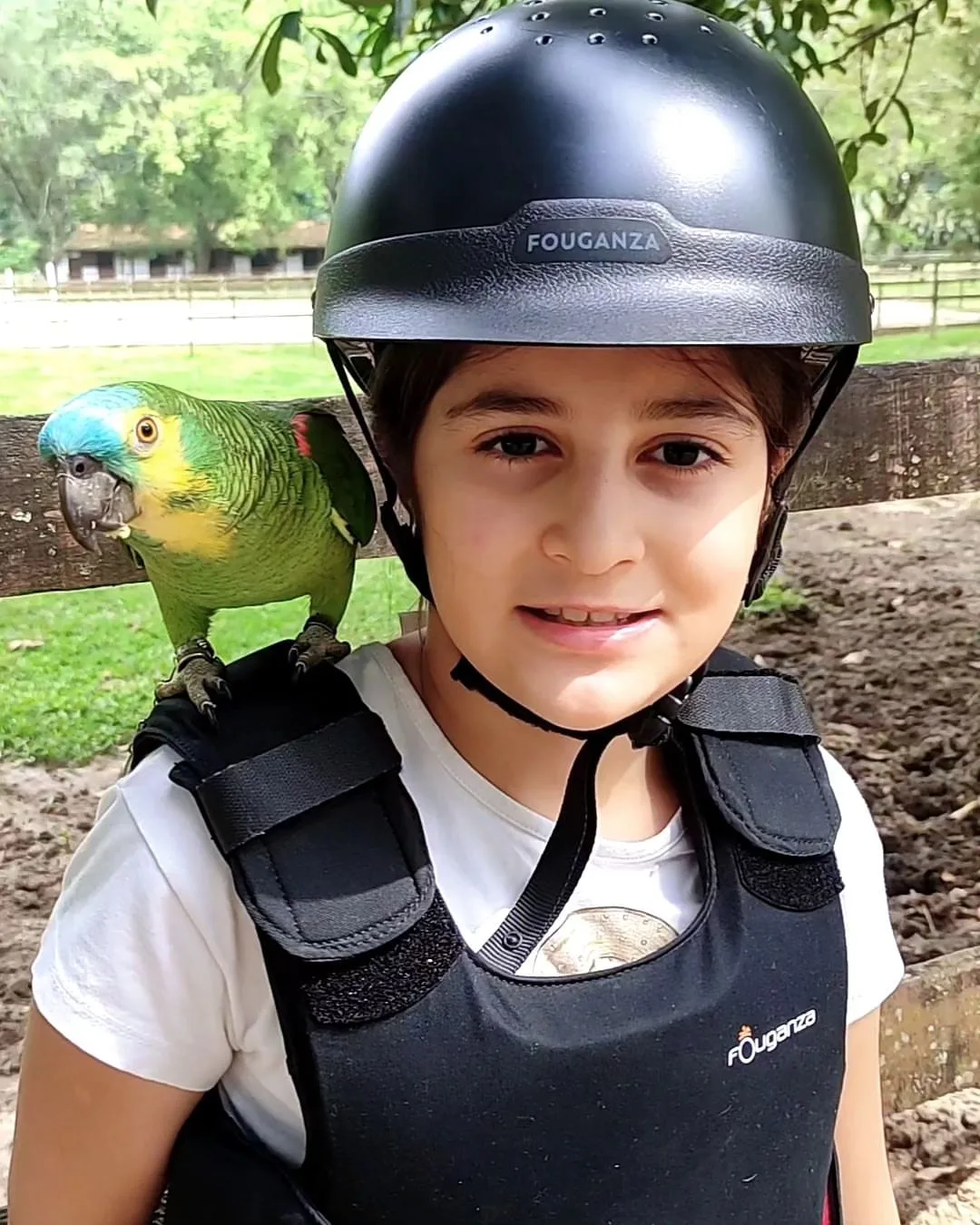 Green Quaker Parrot for Sale