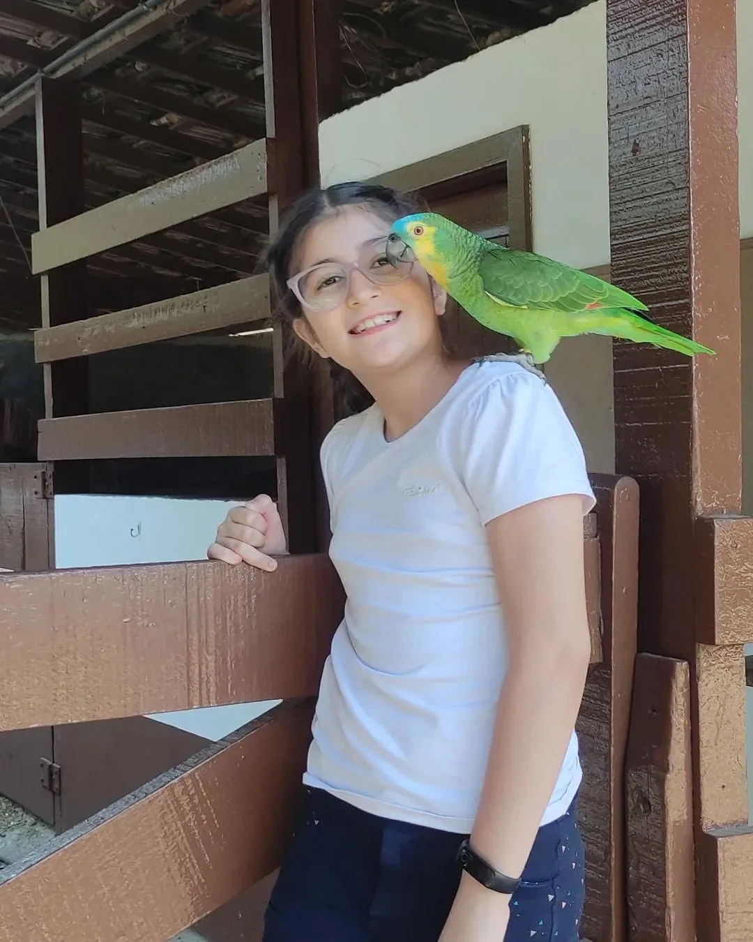 Lutino Quaker Parrots