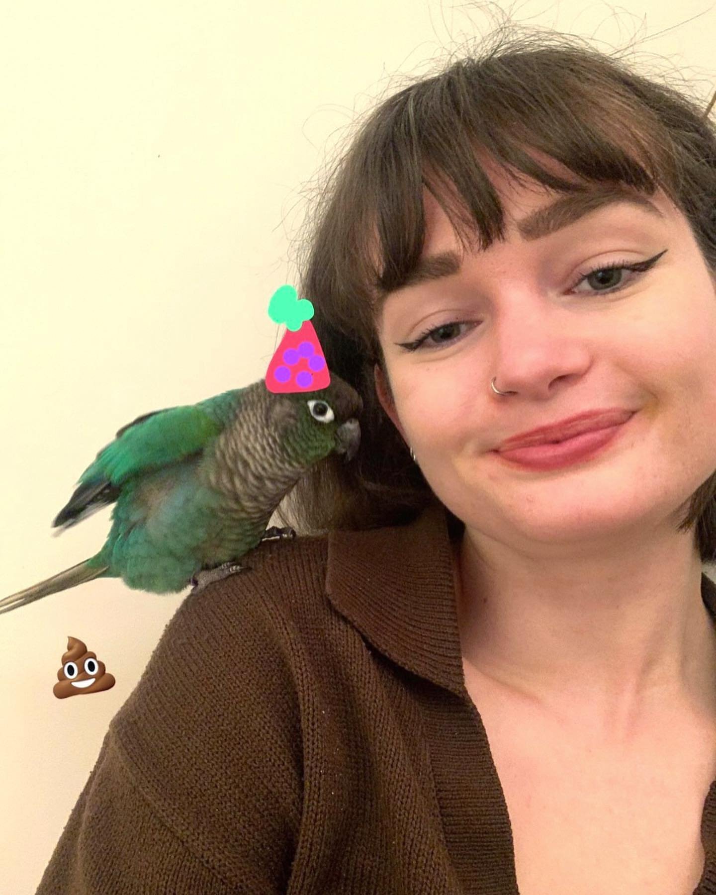 Find Cockatiel Parrots for Sale in Iowa