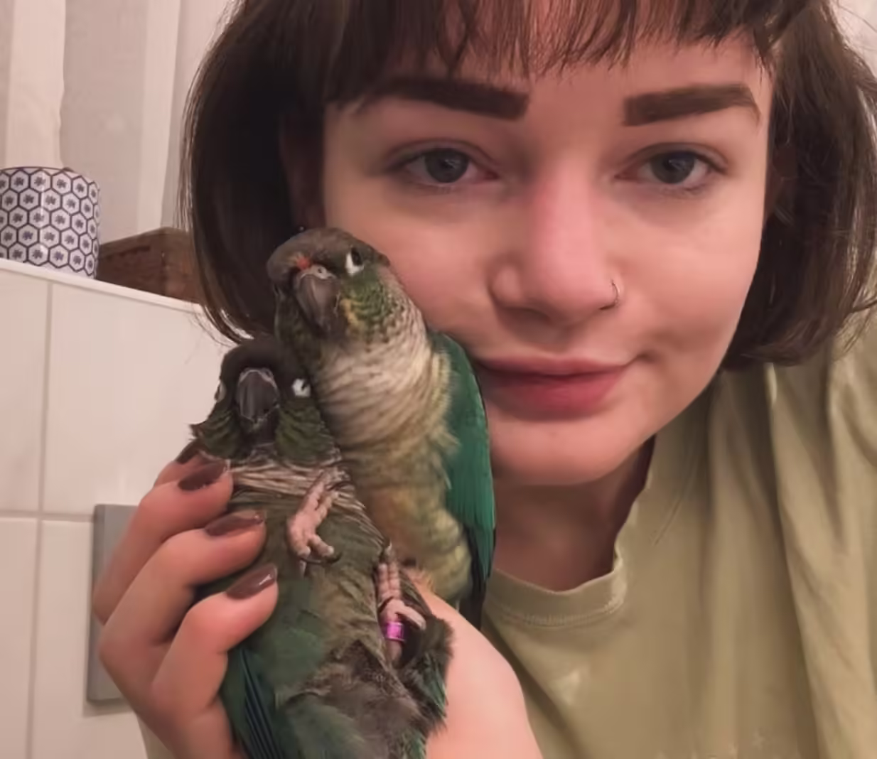 Top Nanday Conure Breeders: 5 Must-Know Picks
