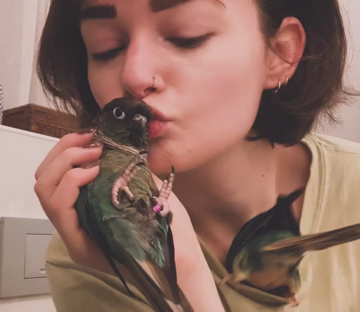 Top Green Cheeked Conure Breeders in Calgary