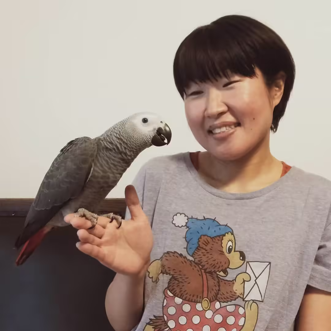 Reliable African Grey Breeders in Glasgow: Top 5 Trusted Partners