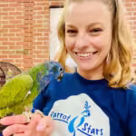 Where can I find Quaker parrot breeders in Portland, OR