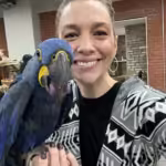 Where can I find parrots for sale in Tacoma, WA