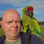 Where can I find Quaker birds for sale in New Hampshire