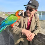 Where can I find eclectus birds for sale in Rhode Island