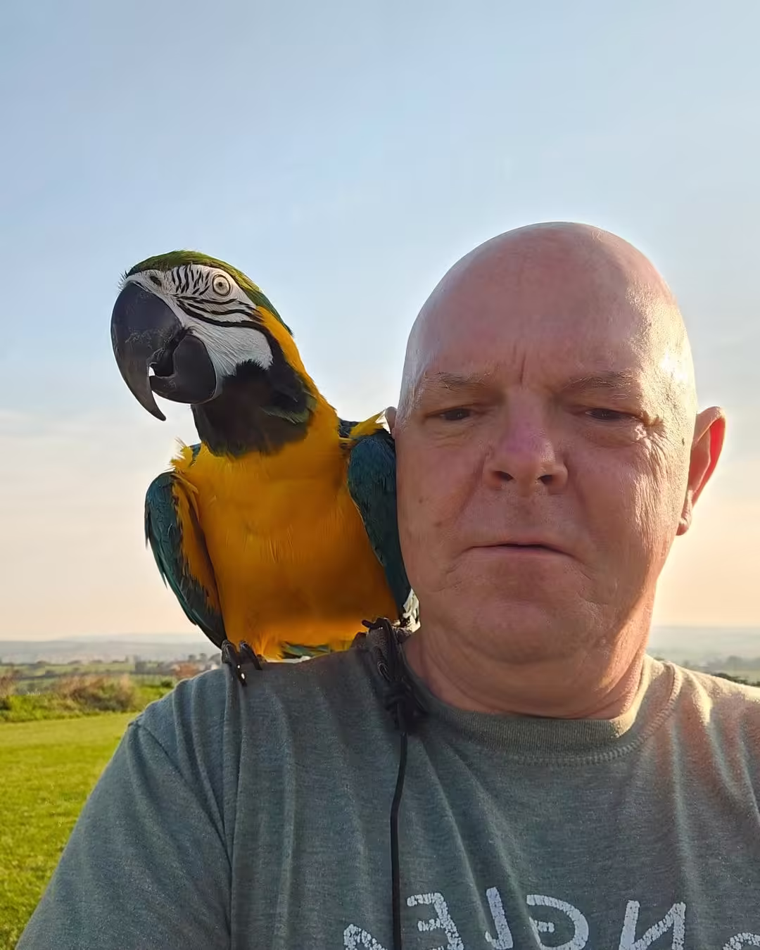 Find Parrots for Sale in Portland OR: Top 5 Must-Visit Spots
