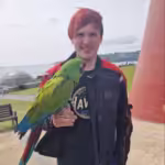 Where can I find Amazon parrots for sale in Vancouver, WA