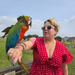 Where can I find cockatoo birds for sale in Rhode Island