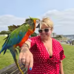 Where can I find cockatiel birds for sale in Rhode Island