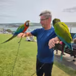 Where can I find Amazon parrot breeders in Spokane, WA