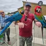 Where can I find eclectus birds for sale in South Carolina