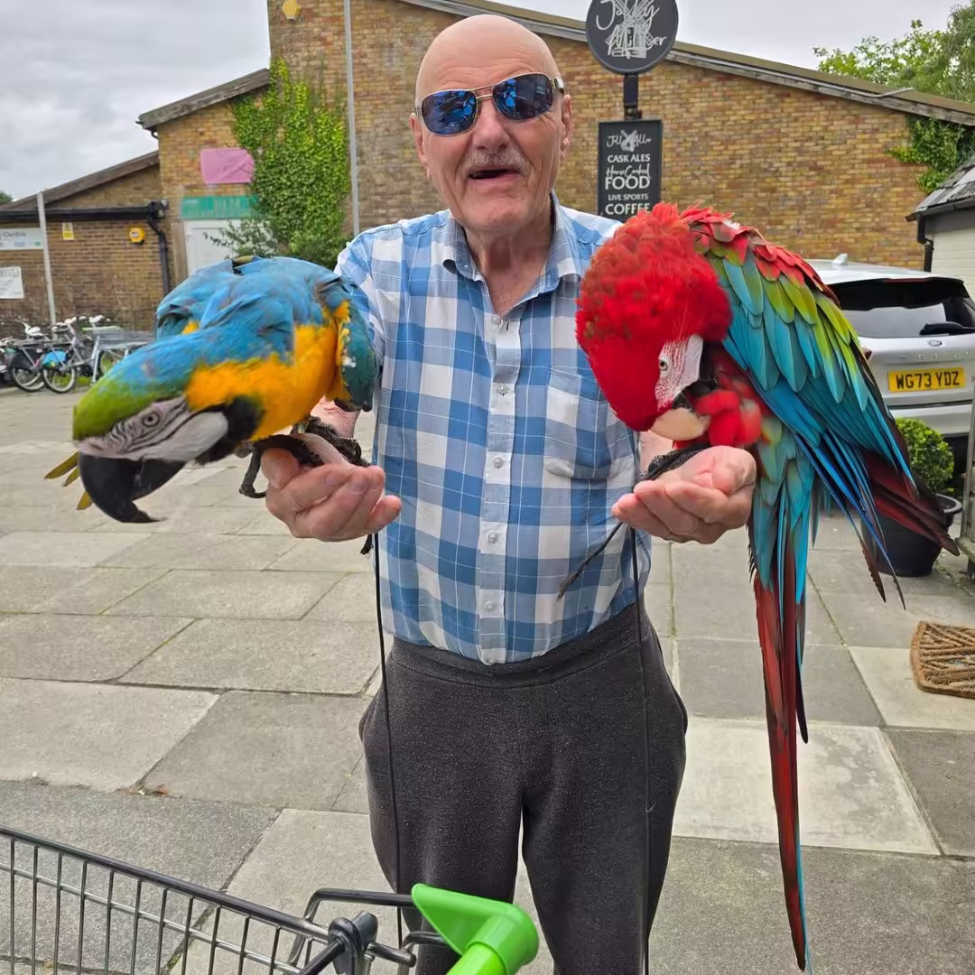 Find Cockatoo Bird Breeders in Tacoma WA
