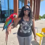 What types of Amazon parrots are available from breeders in Seattle