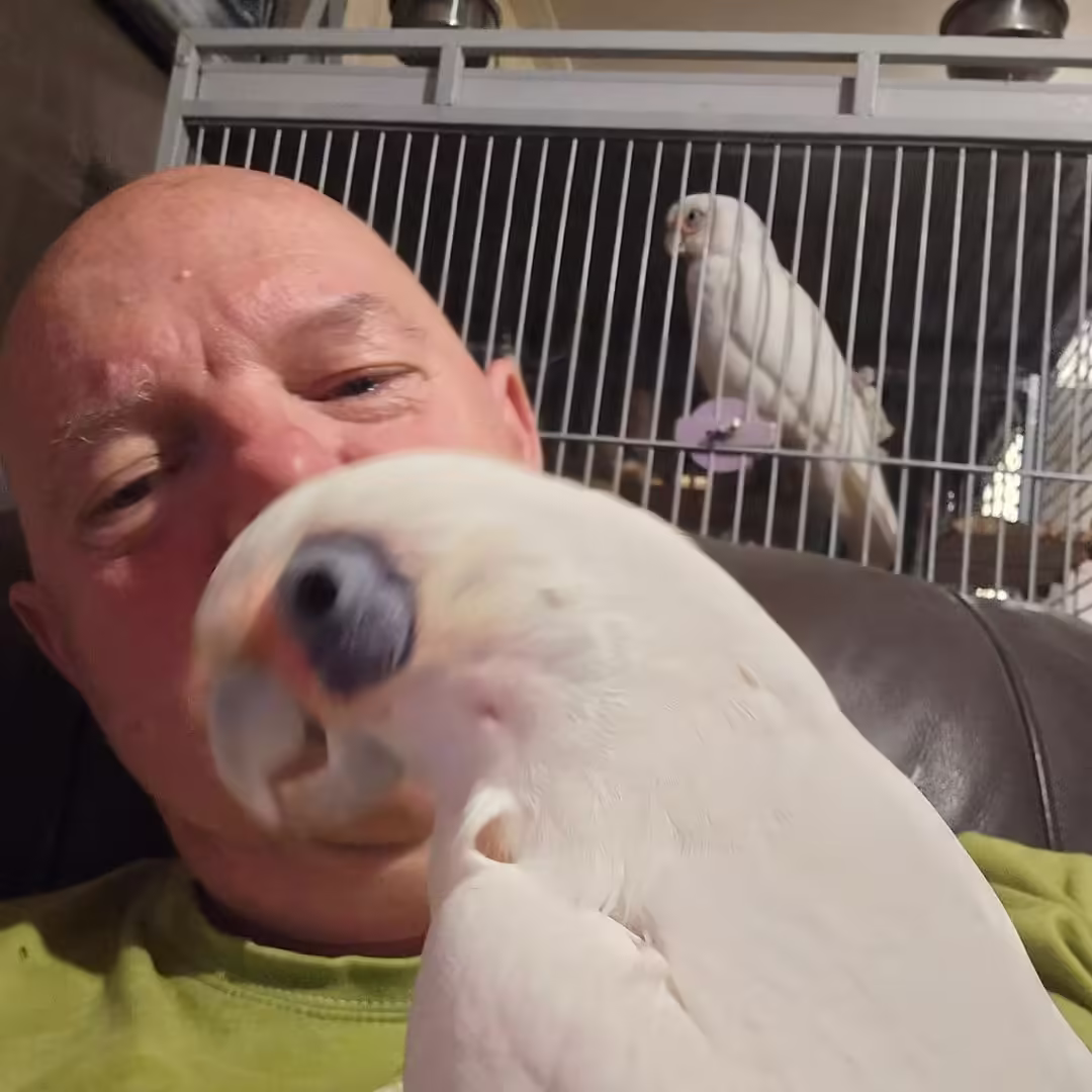 Find Parrots for Sale in Cincinnati OH: Top 5 Locations!