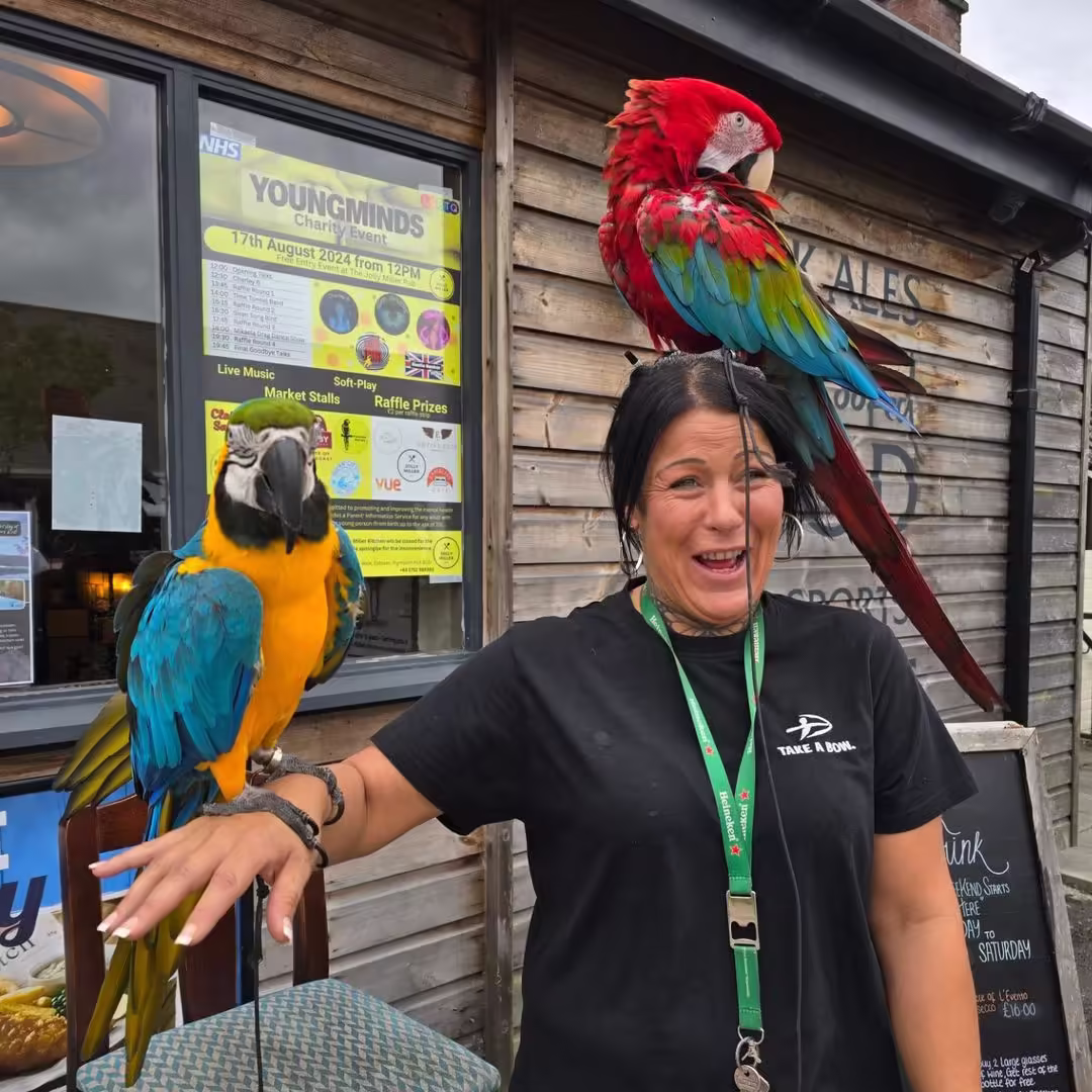 Find Parrots for Sale in Dayton OH: Top 5 Locations!