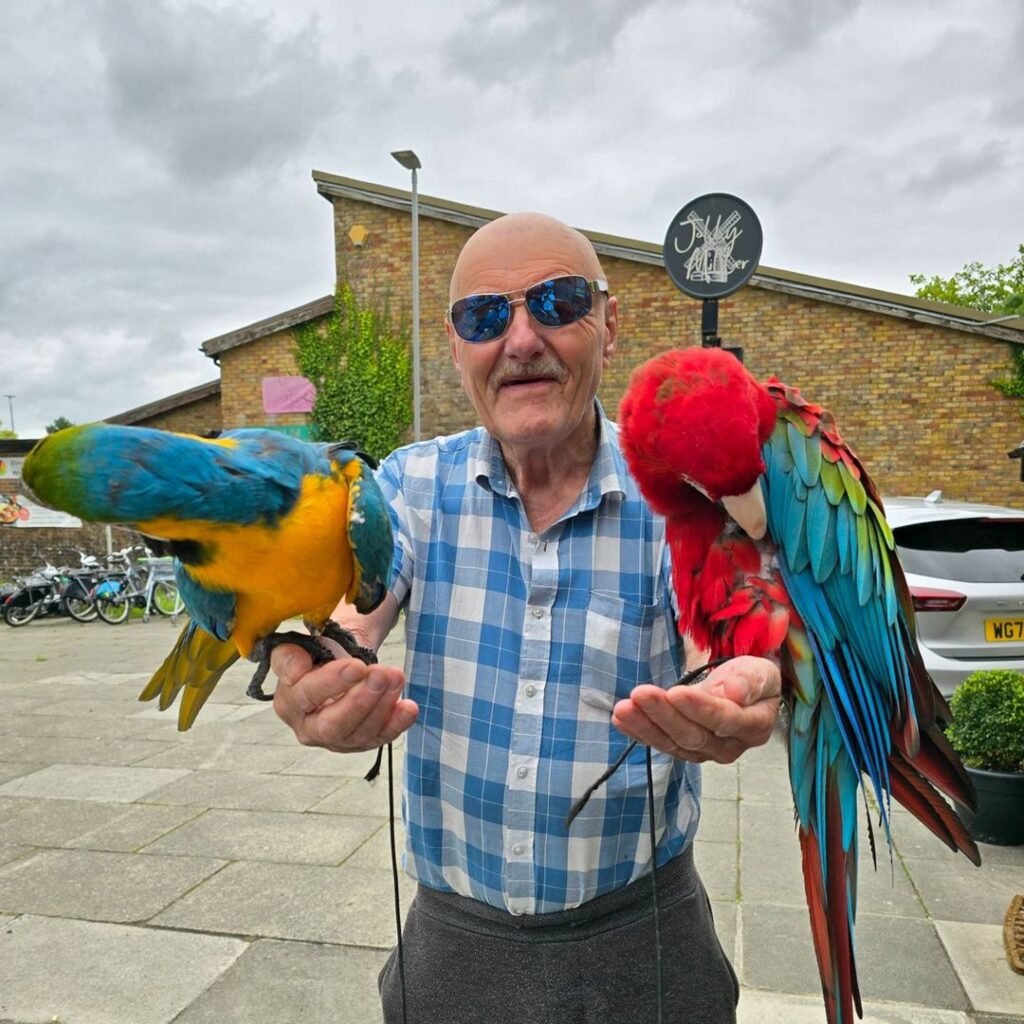find parrots for sale