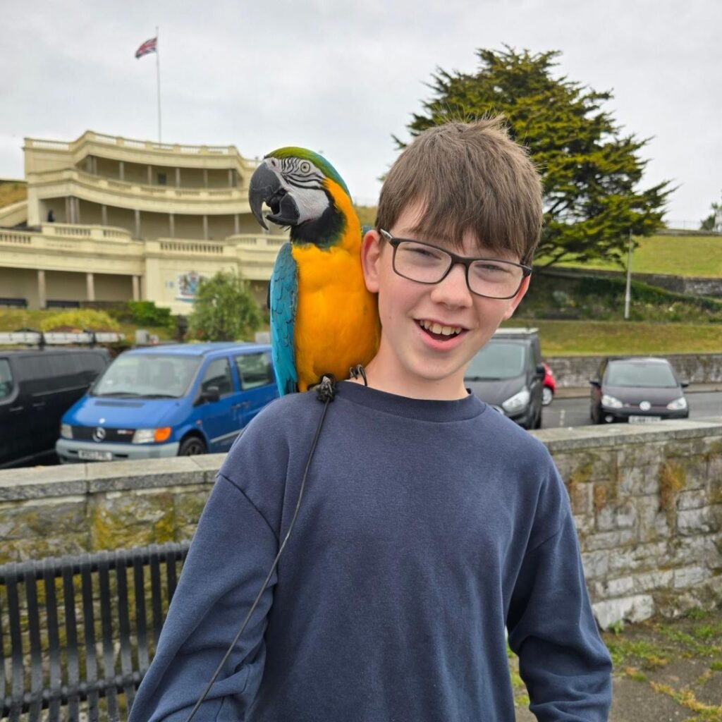 find parrots for sale