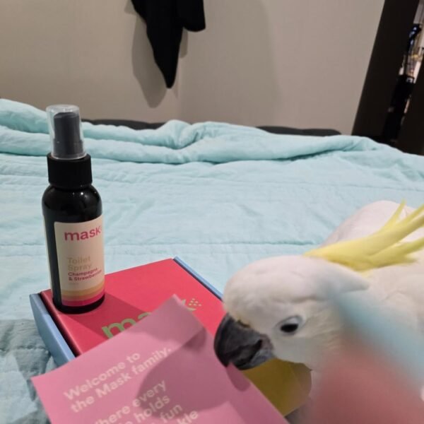 Moluccan Cockatoo parrots for sale